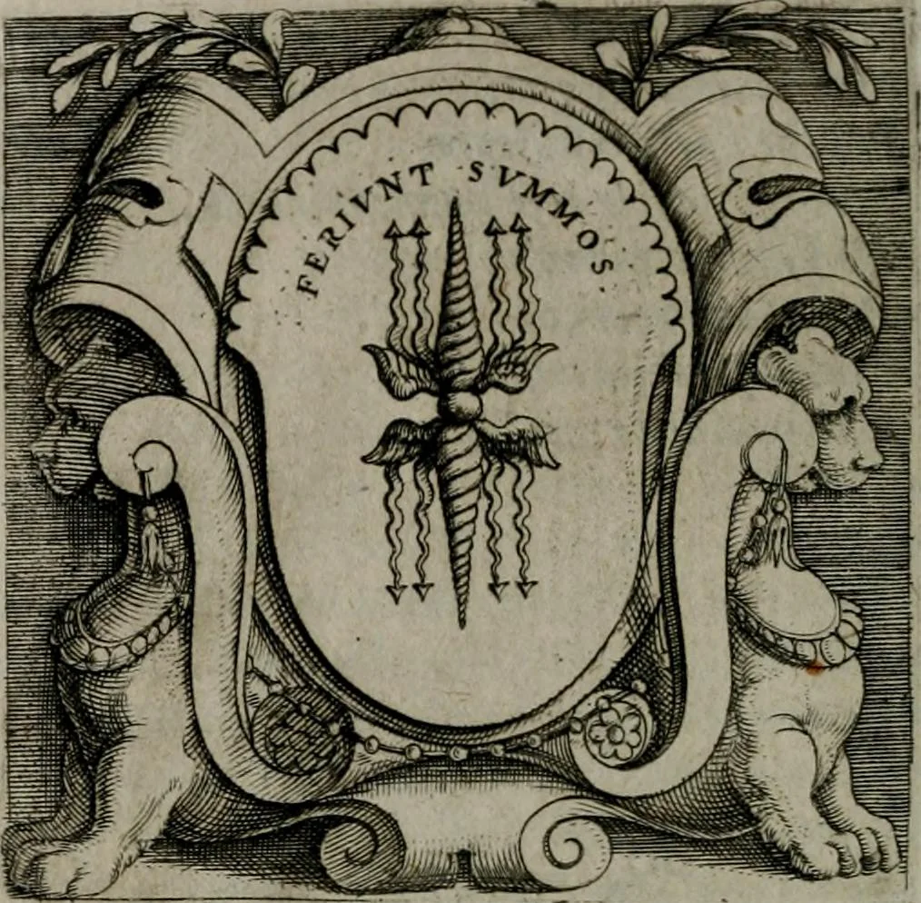 An illustration from Imprese illustri di diuersi : co i discorsi, 1586, leaf 343