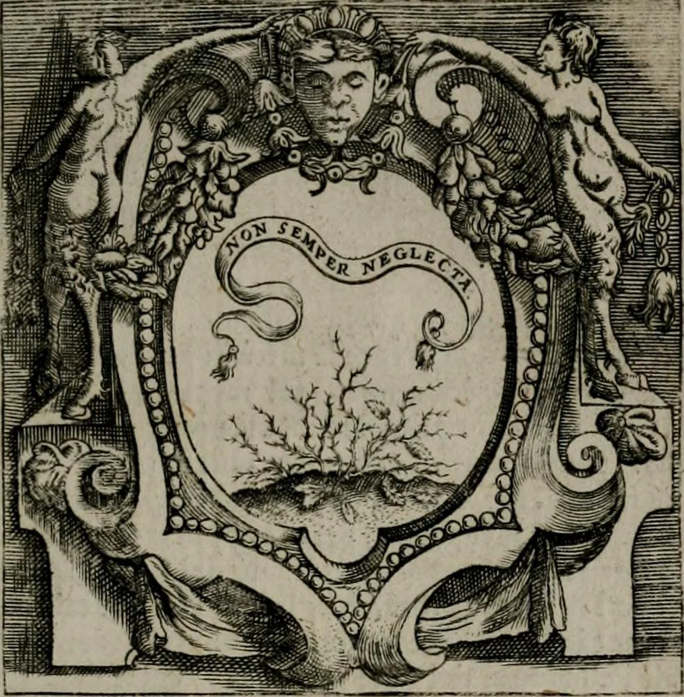 An illustration from Imprese illustri di diuersi : co i discorsi, 1586, leaf 346