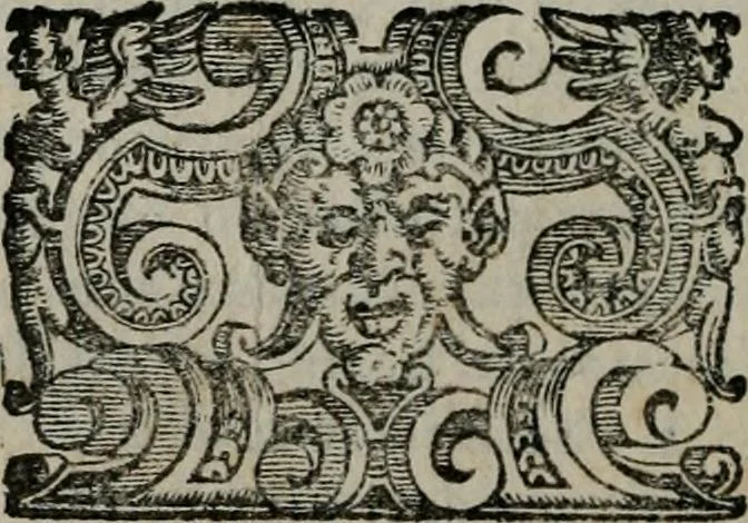 An illustration from Imprese illustri di diuersi : co i discorsi, 1586, leaf 35