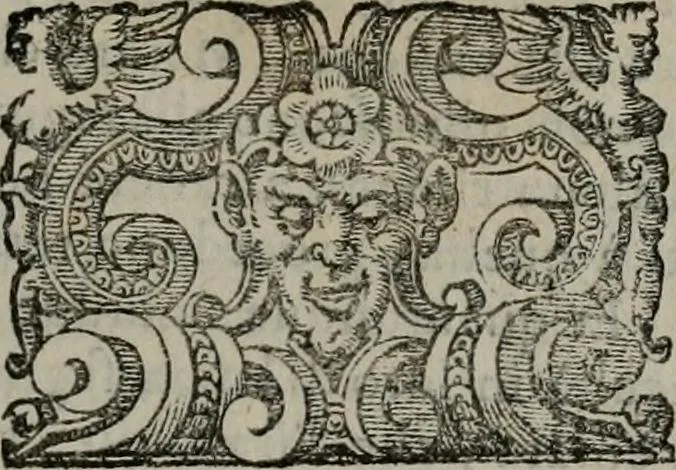 An illustration from Imprese illustri di diuersi : co i discorsi, 1586, leaf 38