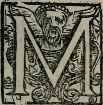 An illustration from Imprese illustri di diuersi : co i discorsi, 1586, leaf 42