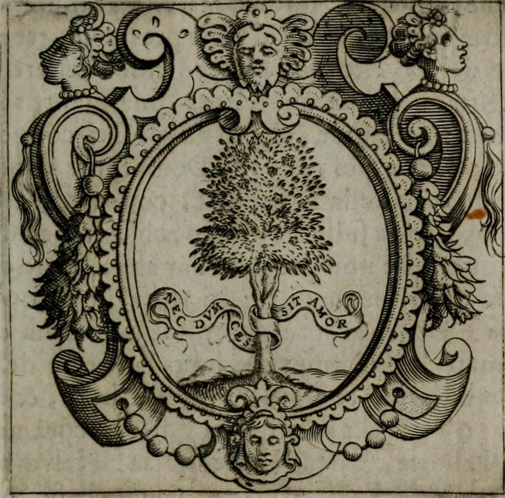 An illustration from Imprese illustri di diuersi : co i discorsi, 1586, leaf 54
