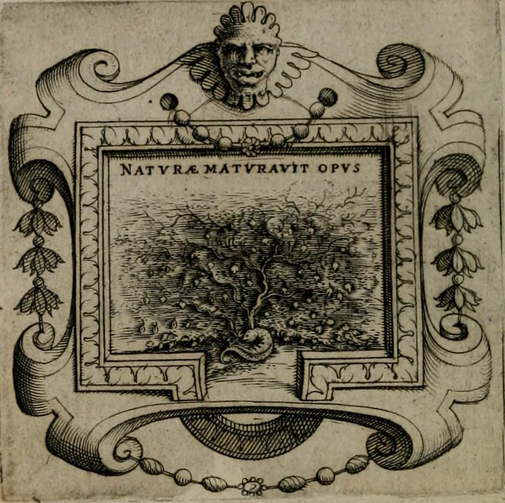 An illustration from Imprese illustri di diuersi : co i discorsi, 1586, leaf 57
