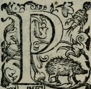 An illustration from Imprese illustri di diuersi : co i discorsi, 1586, leaf 78
