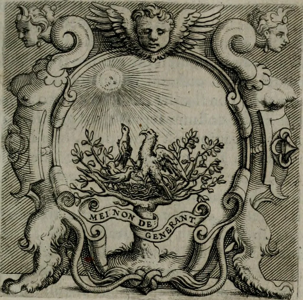 An illustration from Imprese illustri di diuersi : co i discorsi, 1586, leaf 84