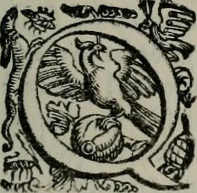 An illustration from Imprese illustri di diuersi : co i discorsi, 1586, leaf 84