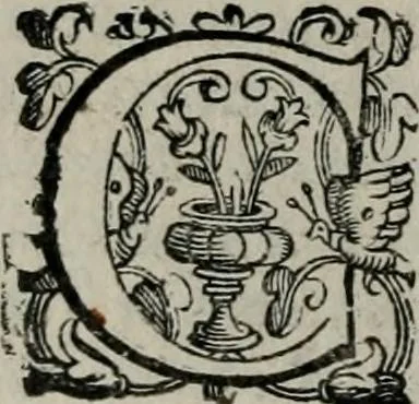 An illustration from Imprese illustri di diuersi : co i discorsi, 1586, leaf 93
