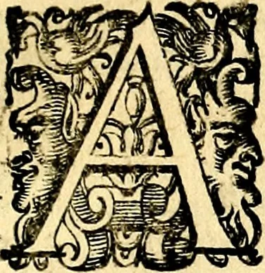 An illustration from Imprese illustri di diuersi, coi discorsi di Camillo Camilli, et con le figure intagliate in rame di Girolamo Porro Padouano .., 1586, leaf 10