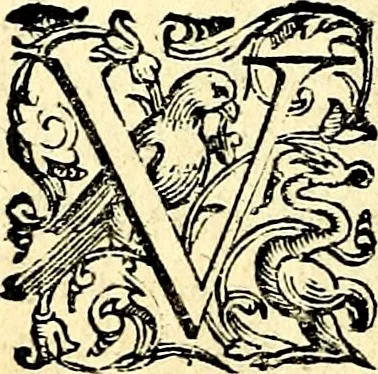 An illustration from Imprese illustri di diuersi, coi discorsi di Camillo Camilli, et con le figure intagliate in rame di Girolamo Porro Padouano .., 1586, leaf 101