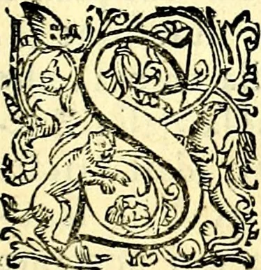 An illustration from Imprese illustri di diuersi, coi discorsi di Camillo Camilli, et con le figure intagliate in rame di Girolamo Porro Padouano .., 1586, leaf 104