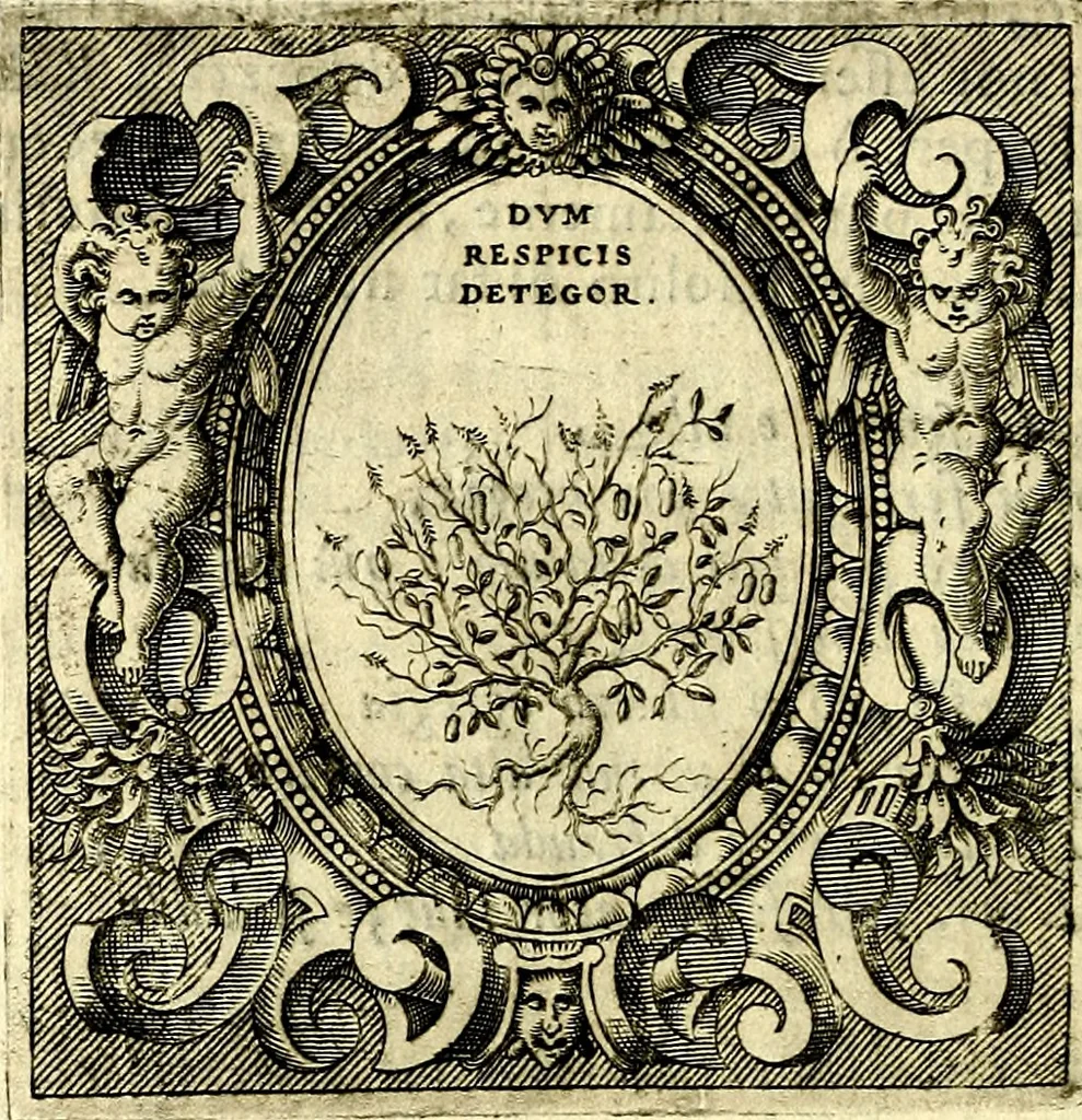 An illustration from Imprese illustri di diuersi, coi discorsi di Camillo Camilli, et con le figure intagliate in rame di Girolamo Porro Padouano .., 1586, leaf 113