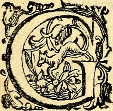 An illustration from Imprese illustri di diuersi, coi discorsi di Camillo Camilli, et con le figure intagliate in rame di Girolamo Porro Padouano .., 1586, leaf 119