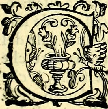 An illustration from Imprese illustri di diuersi, coi discorsi di Camillo Camilli, et con le figure intagliate in rame di Girolamo Porro Padouano .., 1586, leaf 128