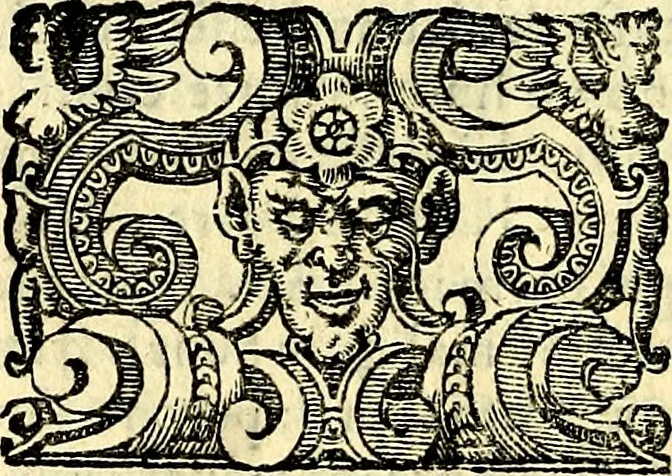 An illustration from Imprese illustri di diuersi, coi discorsi di Camillo Camilli, et con le figure intagliate in rame di Girolamo Porro Padouano .., 1586, leaf 139