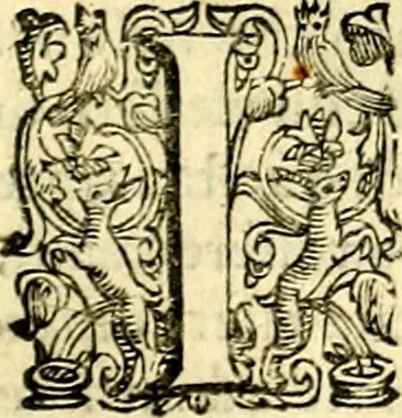 An illustration from Imprese illustri di diuersi, coi discorsi di Camillo Camilli, et con le figure intagliate in rame di Girolamo Porro Padouano .., 1586, leaf 14