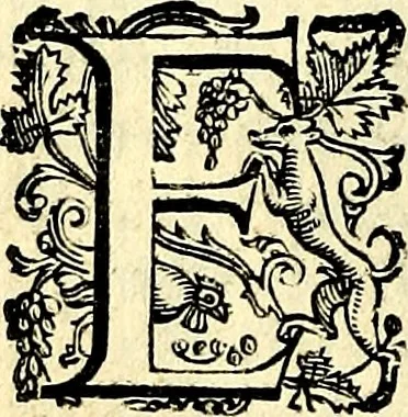 An illustration from Imprese illustri di diuersi, coi discorsi di Camillo Camilli, et con le figure intagliate in rame di Girolamo Porro Padouano .., 1586, leaf 143