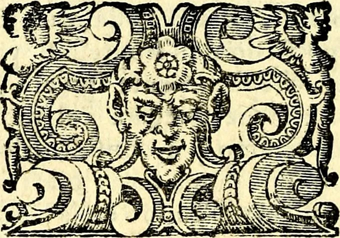 An illustration from Imprese illustri di diuersi, coi discorsi di Camillo Camilli, et con le figure intagliate in rame di Girolamo Porro Padouano .., 1586, leaf 151