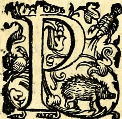 An illustration from Imprese illustri di diuersi, coi discorsi di Camillo Camilli, et con le figure intagliate in rame di Girolamo Porro Padouano .., 1586, leaf 163
