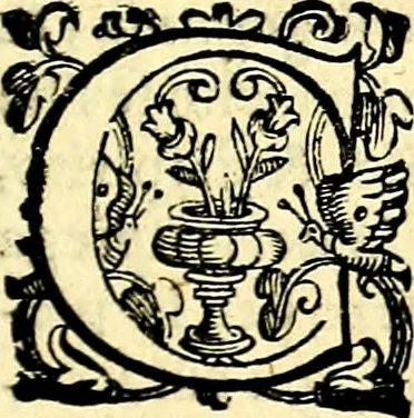 An illustration from Imprese illustri di diuersi, coi discorsi di Camillo Camilli, et con le figure intagliate in rame di Girolamo Porro Padouano .., 1586, leaf 166