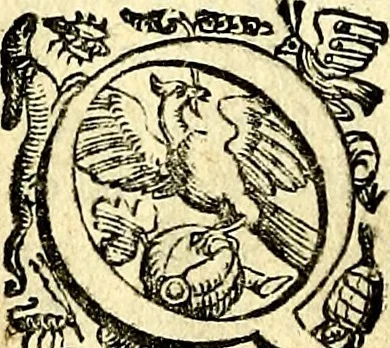 An illustration from Imprese illustri di diuersi, coi discorsi di Camillo Camilli, et con le figure intagliate in rame di Girolamo Porro Padouano .., 1586, leaf 17