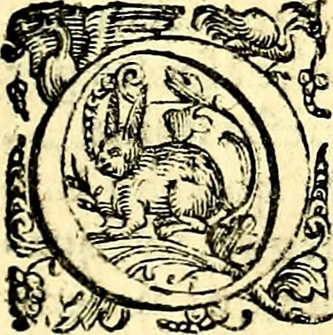 An illustration from Imprese illustri di diuersi, coi discorsi di Camillo Camilli, et con le figure intagliate in rame di Girolamo Porro Padouano .., 1586, leaf 20