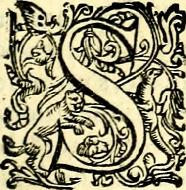 An illustration from Imprese illustri di diuersi, coi discorsi di Camillo Camilli, et con le figure intagliate in rame di Girolamo Porro Padouano .., 1586, leaf 200