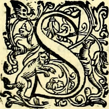 An illustration from Imprese illustri di diuersi, coi discorsi di Camillo Camilli, et con le figure intagliate in rame di Girolamo Porro Padouano .., 1586, leaf 206