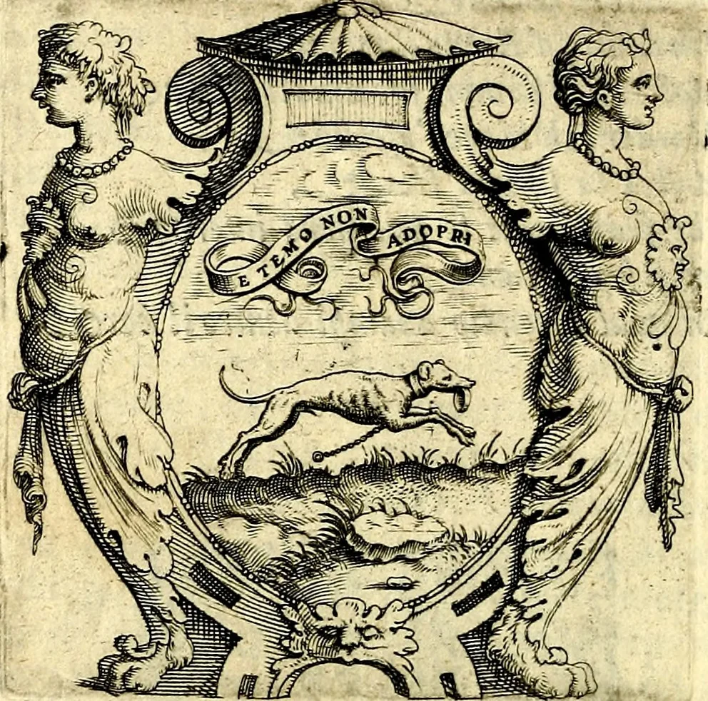 An illustration from Imprese illustri di diuersi, coi discorsi di Camillo Camilli, et con le figure intagliate in rame di Girolamo Porro Padouano .., 1586, leaf 209