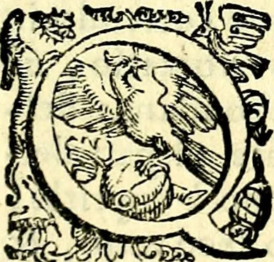 An illustration from Imprese illustri di diuersi, coi discorsi di Camillo Camilli, et con le figure intagliate in rame di Girolamo Porro Padouano .., 1586, leaf 212