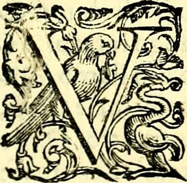 An illustration from Imprese illustri di diuersi, coi discorsi di Camillo Camilli, et con le figure intagliate in rame di Girolamo Porro Padouano .., 1586, leaf 218