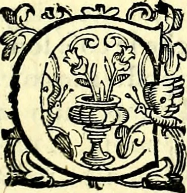 An illustration from Imprese illustri di diuersi, coi discorsi di Camillo Camilli, et con le figure intagliate in rame di Girolamo Porro Padouano .., 1586, leaf 224