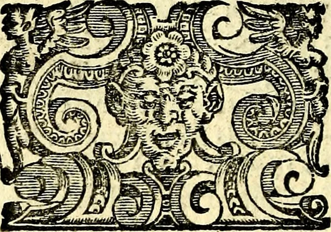 An illustration from Imprese illustri di diuersi, coi discorsi di Camillo Camilli, et con le figure intagliate in rame di Girolamo Porro Padouano .., 1586, leaf 229