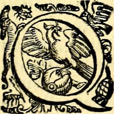 An illustration from Imprese illustri di diuersi, coi discorsi di Camillo Camilli, et con le figure intagliate in rame di Girolamo Porro Padouano .., 1586, leaf 236