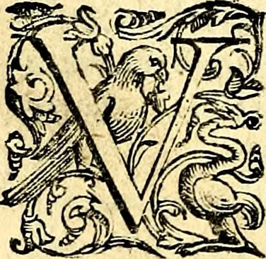 An illustration from Imprese illustri di diuersi, coi discorsi di Camillo Camilli, et con le figure intagliate in rame di Girolamo Porro Padouano .., 1586, leaf 239