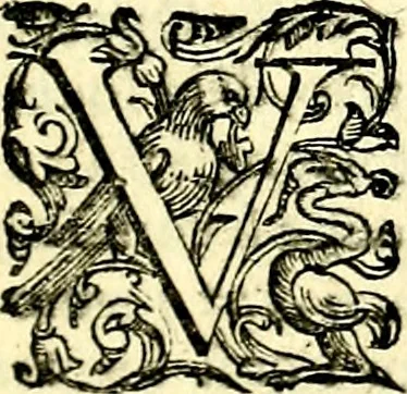 An illustration from Imprese illustri di diuersi, coi discorsi di Camillo Camilli, et con le figure intagliate in rame di Girolamo Porro Padouano .., 1586, leaf 248