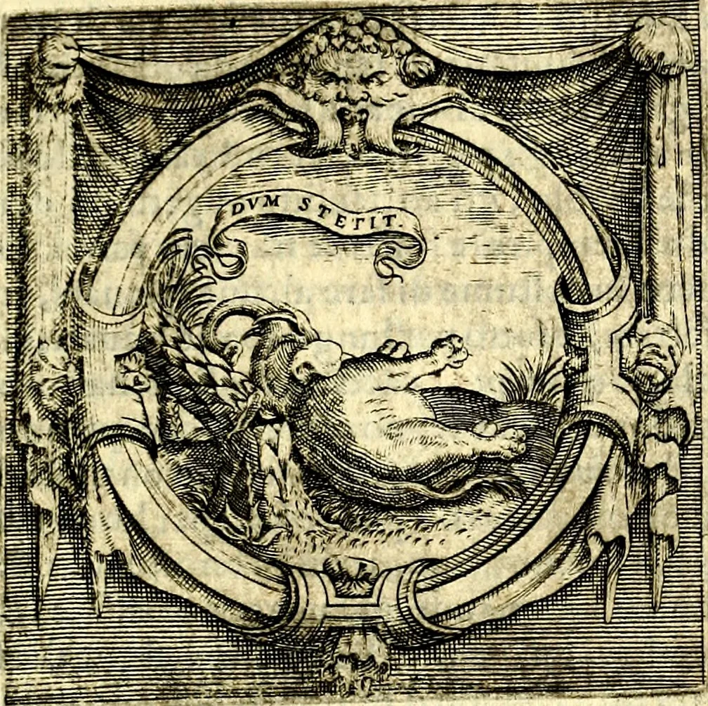 An illustration from Imprese illustri di diuersi, coi discorsi di Camillo Camilli, et con le figure intagliate in rame di Girolamo Porro Padouano .., 1586, leaf 254