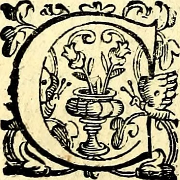 An illustration from Imprese illustri di diuersi, coi discorsi di Camillo Camilli, et con le figure intagliate in rame di Girolamo Porro Padouano .., 1586, leaf 269