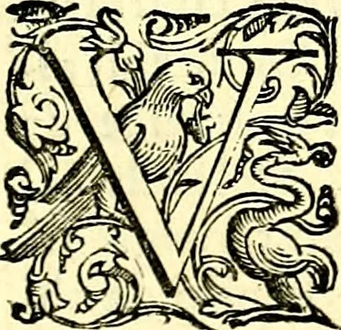An illustration from Imprese illustri di diuersi, coi discorsi di Camillo Camilli, et con le figure intagliate in rame di Girolamo Porro Padouano .., 1586, leaf 272