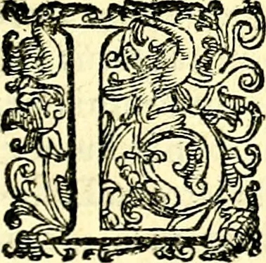 An illustration from Imprese illustri di diuersi, coi discorsi di Camillo Camilli, et con le figure intagliate in rame di Girolamo Porro Padouano .., 1586, leaf 278