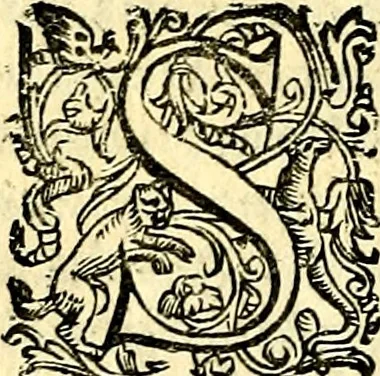 An illustration from Imprese illustri di diuersi, coi discorsi di Camillo Camilli, et con le figure intagliate in rame di Girolamo Porro Padouano .., 1586, leaf 305