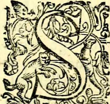An illustration from Imprese illustri di diuersi, coi discorsi di Camillo Camilli, et con le figure intagliate in rame di Girolamo Porro Padouano .., 1586, leaf 314