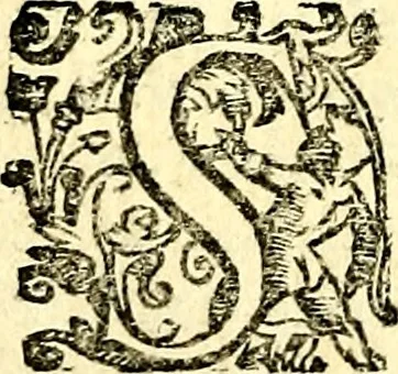 An illustration from Imprese illustri di diuersi, coi discorsi di Camillo Camilli, et con le figure intagliate in rame di Girolamo Porro Padouano .., 1586, leaf 317