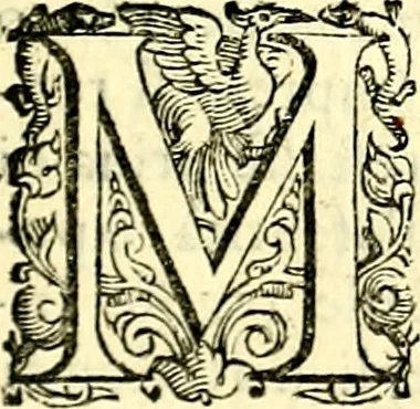 An illustration from Imprese illustri di diuersi, coi discorsi di Camillo Camilli, et con le figure intagliate in rame di Girolamo Porro Padouano .., 1586, leaf 32