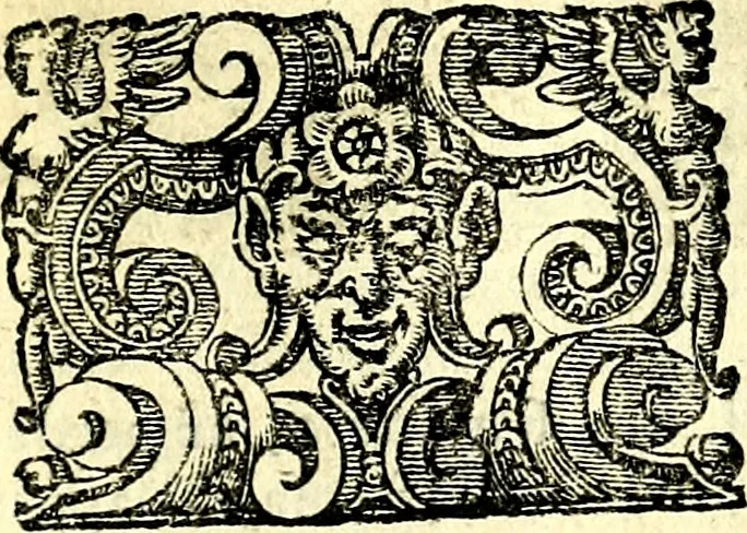 An illustration from Imprese illustri di diuersi, coi discorsi di Camillo Camilli, et con le figure intagliate in rame di Girolamo Porro Padouano .., 1586, leaf 328