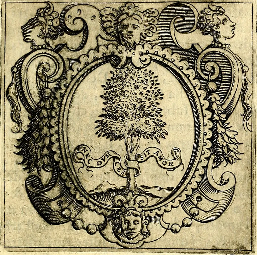 An illustration from Imprese illustri di diuersi, coi discorsi di Camillo Camilli, et con le figure intagliate in rame di Girolamo Porro Padouano .., 1586, leaf 56