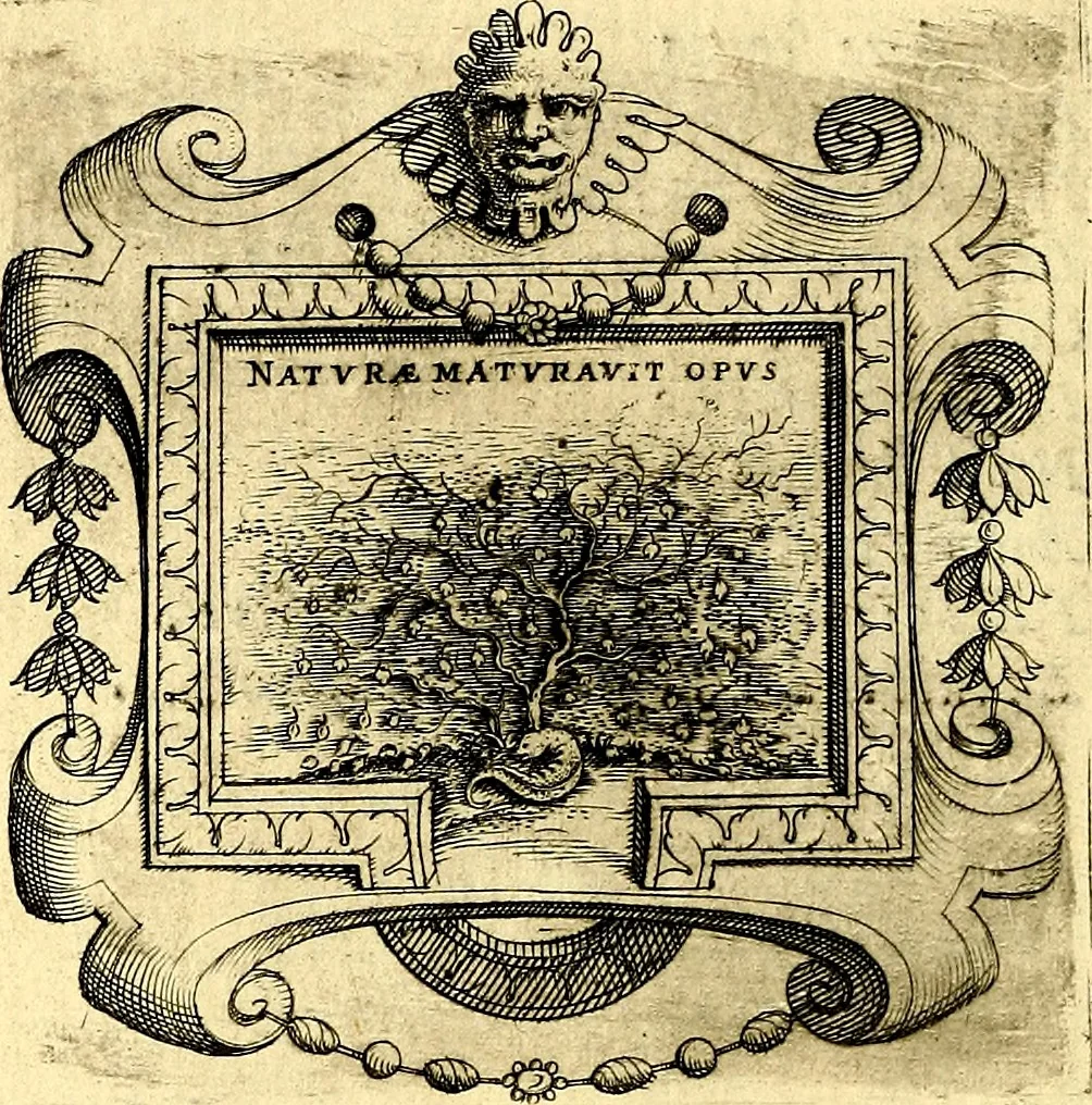 An illustration from Imprese illustri di diuersi, coi discorsi di Camillo Camilli, et con le figure intagliate in rame di Girolamo Porro Padouano .., 1586, leaf 59
