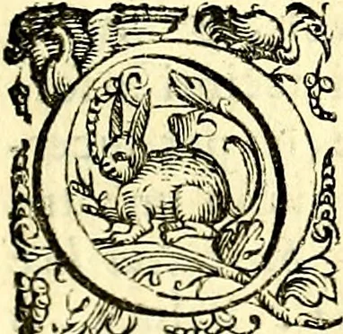 An illustration from Imprese illustri di diuersi, coi discorsi di Camillo Camilli, et con le figure intagliate in rame di Girolamo Porro Padouano .., 1586, leaf 62