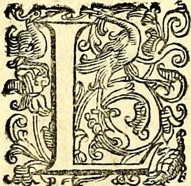 An illustration from Imprese illustri di diuersi, coi discorsi di Camillo Camilli, et con le figure intagliate in rame di Girolamo Porro Padouano .., 1586, leaf 65