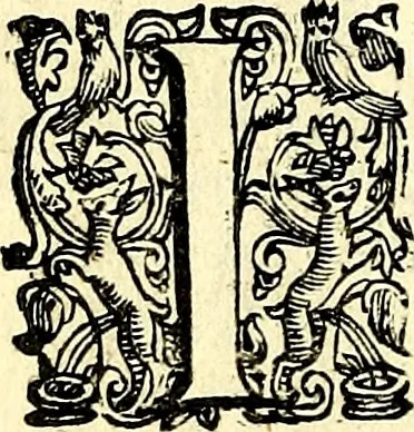 An illustration from Imprese illustri di diuersi, coi discorsi di Camillo Camilli, et con le figure intagliate in rame di Girolamo Porro Padouano .., 1586, leaf 71