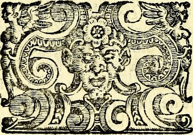 An illustration from Imprese illustri di diuersi, coi discorsi di Camillo Camilli, et con le figure intagliate in rame di Girolamo Porro Padouano .., 1586, leaf 73
